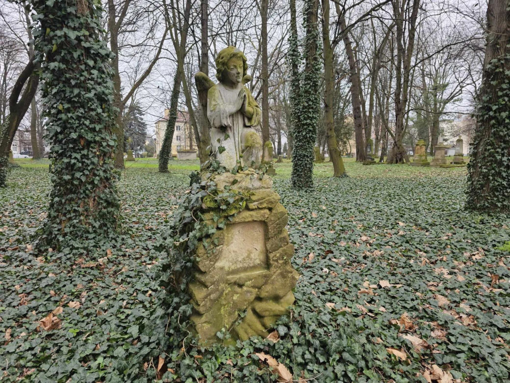 Stary cmentarz w Rzeszowie najstarsza zachowana nekropolia w mieście