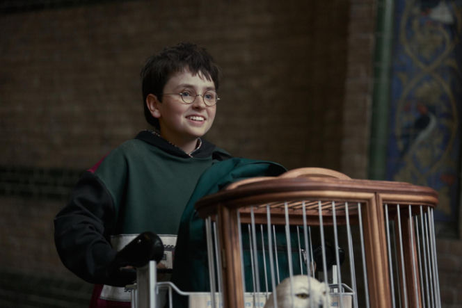Dominic McLaughlin jako Harry Potter