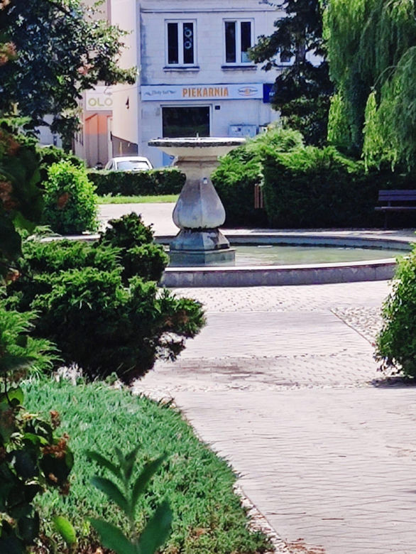 Zielony Rynek w Pińczowie