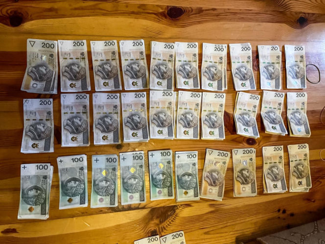 CBŚP i Straż Graniczna rozbiły wielką grupę przestępczą! 19 osób oskarżonych, straty liczone w milionach