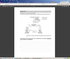 Matura biologia15