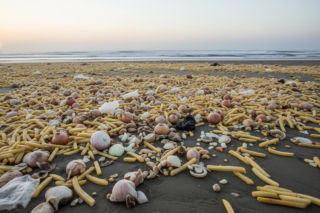 Plaża w Sussex pokryta frytkami i cebulą. Co było przyczyną tej katastrofy?