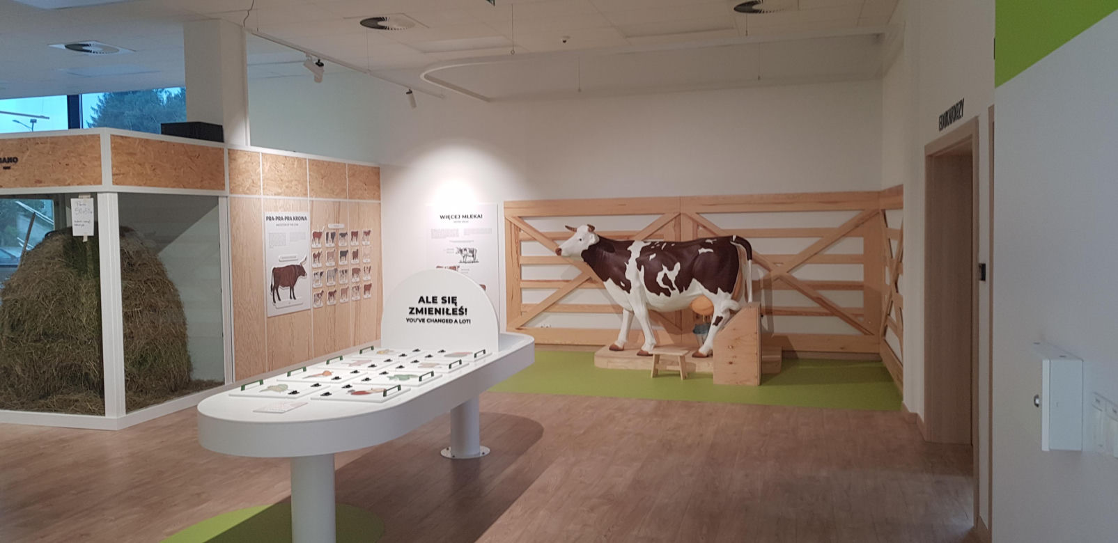 Otwarcie Centrum Nauki Kortosfera w Olsztynie. Bilety już dostępne! Ile kosztują?