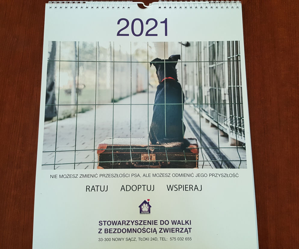 Kalendarz z adoptowanymi zwierzetami