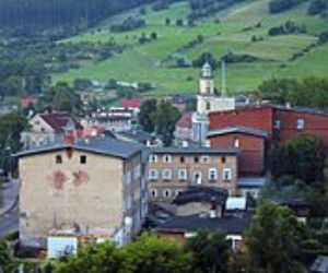 Głuszyca