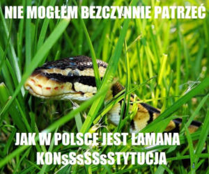 PYTON W MEMACH