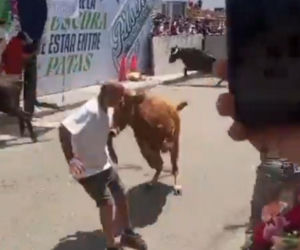 Szokujące sceny podczas gonitwy byków. Mężczyzna oszukał przeznaczenie
