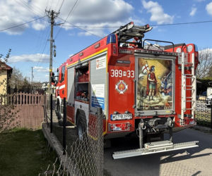 Mruczek wpadł do starej studni. Rozpaczliwym miauczeniem wołał pomocy