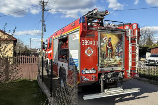 Mruczek wpadł do starej studni. Rozpaczliwym miauczeniem wołał pomocy