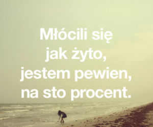 Teksty z Warsaw Shore