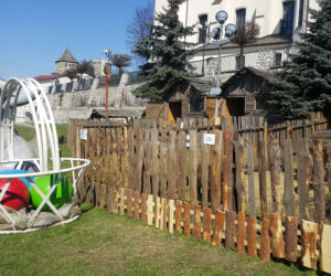 Zagajnik Wielkanocny w Będzinie