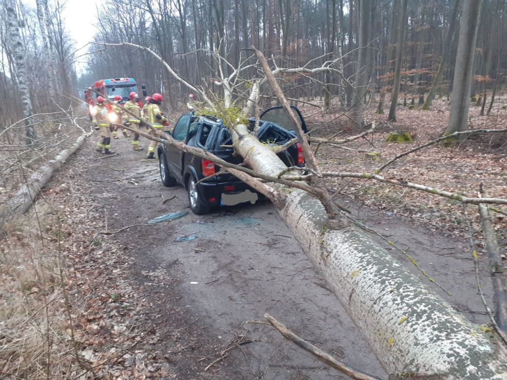 Trzcianka. Drzewo runęło na auto! Kierowca został ranny