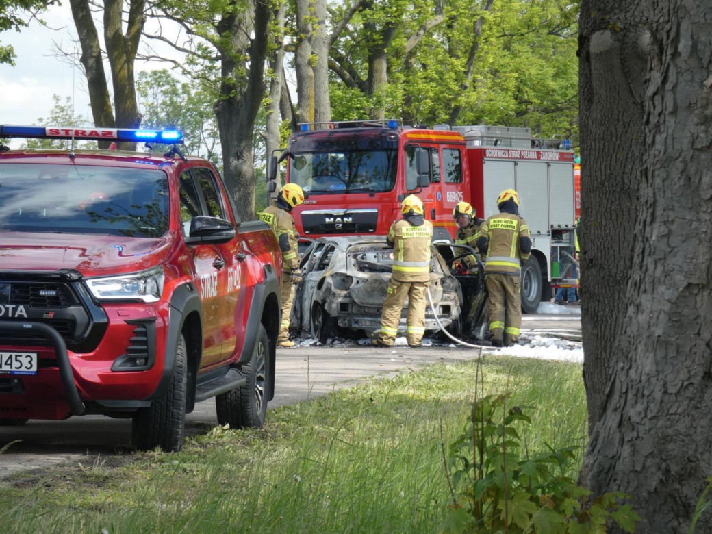 Zwęglone zwłoki w elektrycznym oplu. Samochód uderzył w drzewo i stanął w płomieniach