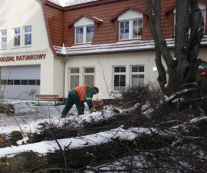 W Koszalinie połamało drzewa. Musiała interweniować straż pożarna.