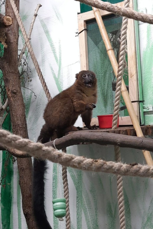 Oto nowi mieszkańcy ZOO w Poznaniu