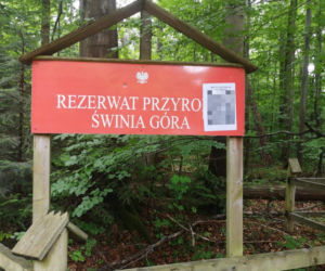 Demolka w nadleśnictwie! Gejowskie PORNO, penisy i HEJT na Trzaskowskiego! [ZDJĘCIA]