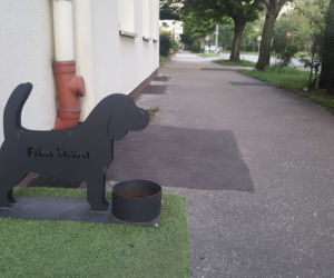 W tych miejscach w Bydgoszczy sprzedawcy kochają zwierzęta