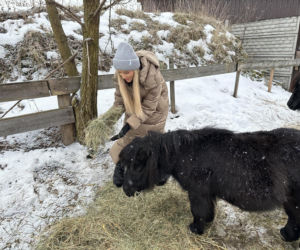 Joanna Krupa odwiedza schronisko dla zwierząt