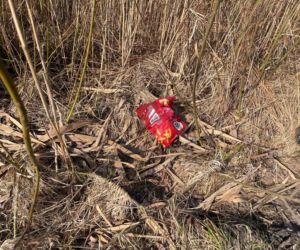 Siedleccy wędkarze chcą posprzątać okolice zalewu. Pomożecie?