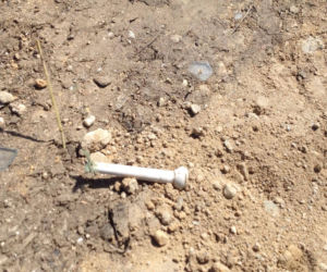 Pawłów Trzebnicki. Odpady medyczne przywiezione w pierwszej turze