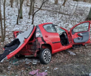 Śmiertelny wypadek w Parkowie. Dwie osoby nie żyją. 