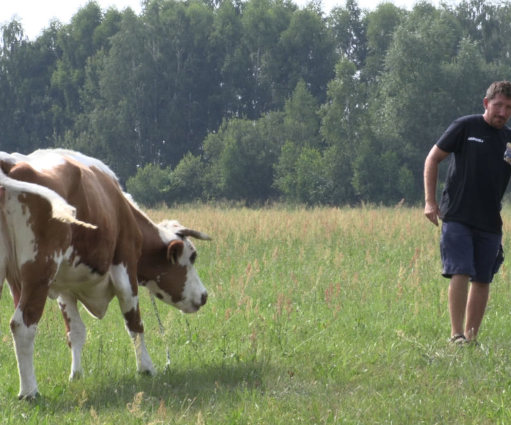 Andrzej Onopiuk ma mnóstwo obowiązków związanych z dbaniem o swoje zwierzęta.