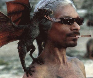 snoop dog