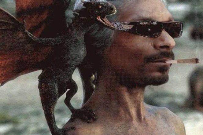 snoop dog