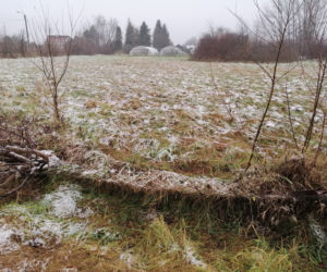 Znaleźli ją nieprzytomną i całą pociętą. Zrobił jej to własny syn? 