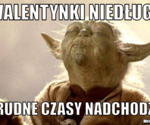Najlepsze memy na Walentynki. Internet komentuje Święto Zakochanych