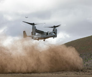 Rosnąca liczba wypadków lotniczych w US Army. Pentagon ujawnia zatrważające dane