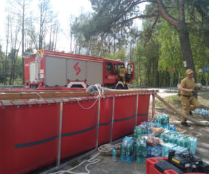 Pożar w Puszczy Białowieskiej