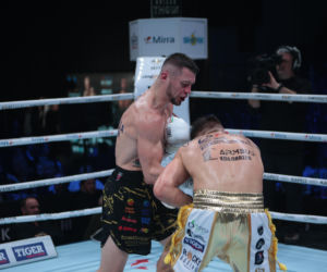 Kalinowski - Stępień