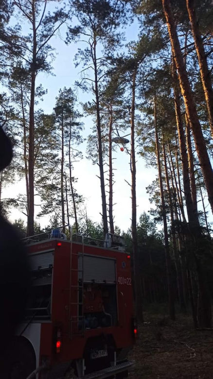 Ogromny pożar pod Grójcem! Spłonęło 80 hektarów lasu