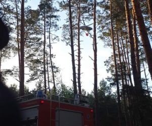 Ogromny pożar pod Grójcem! Spłonęło 80 hektarów lasu