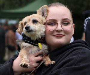 XIII Piknik Przyjaciół Schroniska w Toruniu. Fotorelacja z imprezy