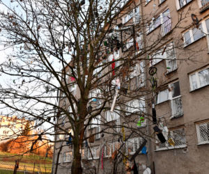 Szczecin: Drzewo śmietnik