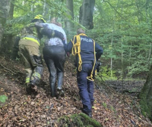 Poszła na grzyby i zaczęła tonąć w bagnie! Dramatyczna akcja ratunkowa