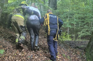 Poszła na grzyby i zaczęła tonąć w bagnie! Dramatyczna akcja ratunkowa