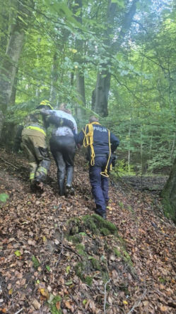 Poszła na grzyby i ugrzęzła w bagnie po pas. Dramatyczna akcja na Pomorzu