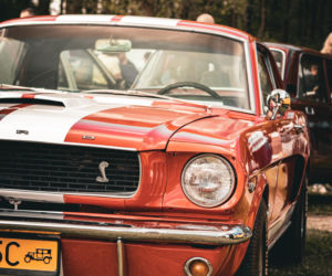 Tak było na Zalewiadzie 2025