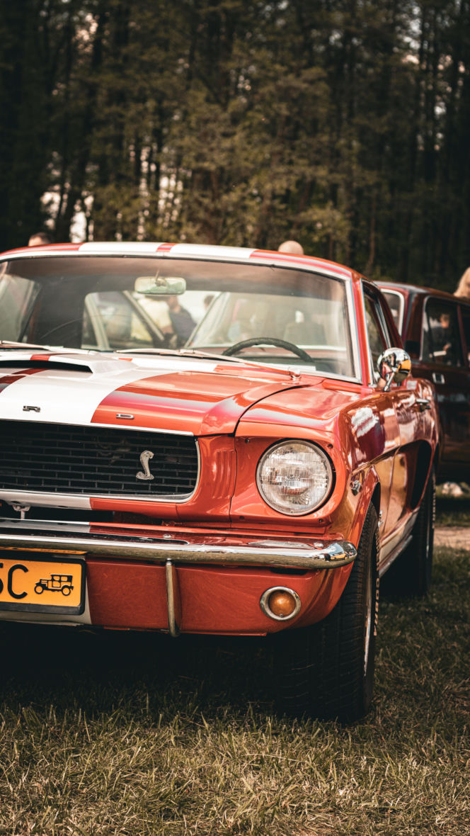 Tak było na Zalewiadzie 2025