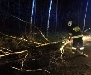 Orkan Sabina zbiera żniwa. Strażacy usuwają skutki wichury
