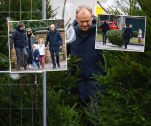 Donald Tusk kupił dwie choinki. Wiemy, ile zapłacił