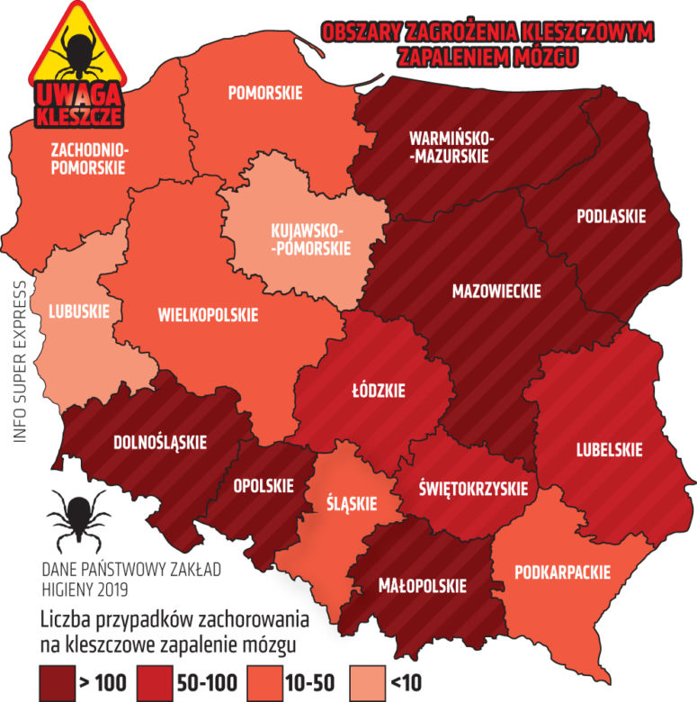 Choroby roznoszone przez kleszcze