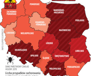 Choroby roznoszone przez kleszcze