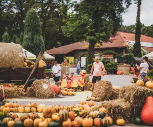 Rodzinne Halloween w JuraParku Solec w Solcu Kujawskim