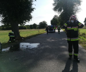 GROŹNY WYPADEK w miejscowości Lutkowo. Kobieta uderzyła w drzewo, a następnie DACHOWAŁA