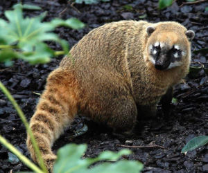 Tierpark Cottbus