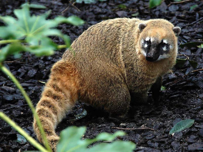Tierpark Cottbus